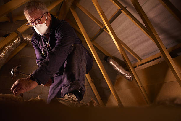 Best Specialized Insulation Services in Sheridan, AR