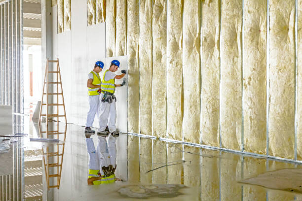Best Commercial Insulation in Sheridan, AR